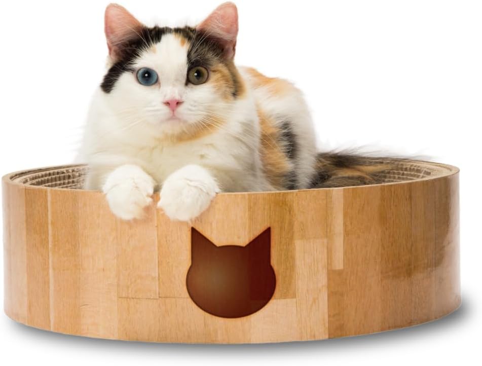 猫壱 バリバリボウル
